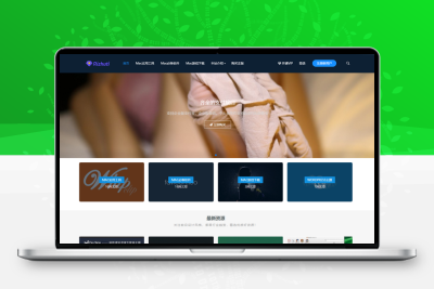 日主题V3.3官网最新版，WordPress付费主题分享，去除域名授权