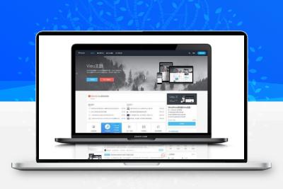 VieuV4.5主题_WP响应式博客资讯自媒体博客模板去授权版[wordpress模板]