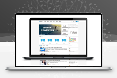 WordPress博客SEO自媒体资讯主题模板RabbitV2.0