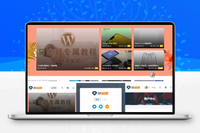 RiPro主题最新解锁去授权无限制版本(更新至8.7）