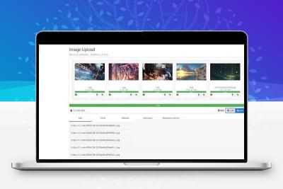 Lsky Pro兰空图床源码