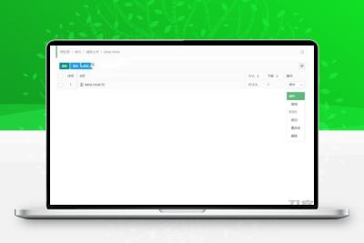 PHP涟漪云-蓝奏云挂载直连下载程序源码