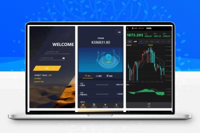 【微盘系统】新UI二开过K线正常[已过D盾清除后门]