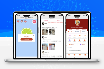 最新口红机防篡改版本源码