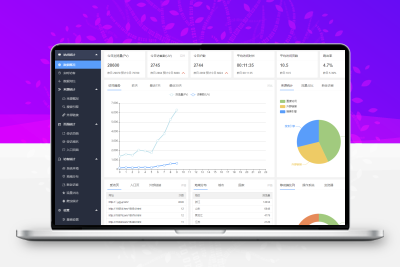 网站流量统计系统来源概况分析爬虫蜘蛛统计