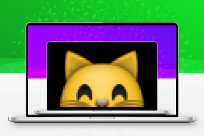 校园流浪猫信息记录和分享的小程序源码