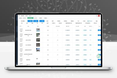 java开发的智能微信停车场小程序源码+前端+兼容市面上主流的多家摄像机