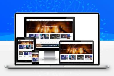 ripro9.0修正升级版+WP两款美化包+稀有插件