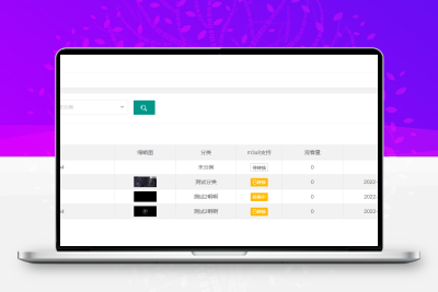 BGS本地局域网视频系统源码