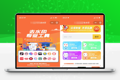 2022最新版去水印小程序源码