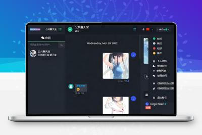 最新公共聊天室系统源码ChatNetV1.11-V1.9完整汉化版源码私人聊天程序