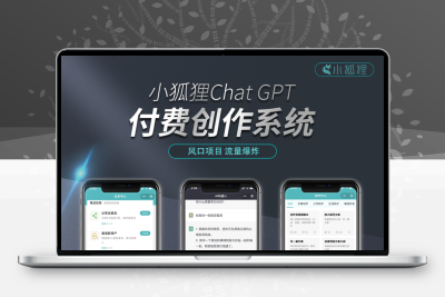 小狐狸ai3.1.2版本源码无授权版本内含搭建教程+各种上线教程