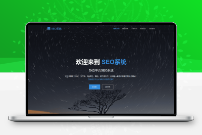 SEO站群系统源码SEO优化系统单页关键词排名网站源码